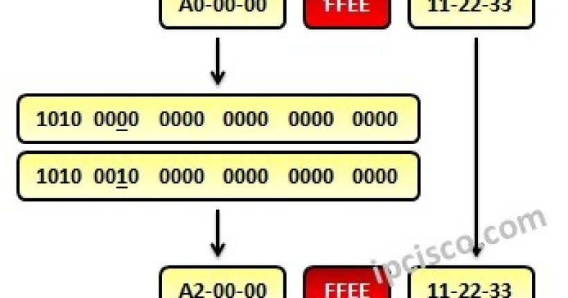 ipv6-eui-64-format-ipcisco.com