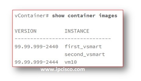show-container-images-cisco-sd-wan