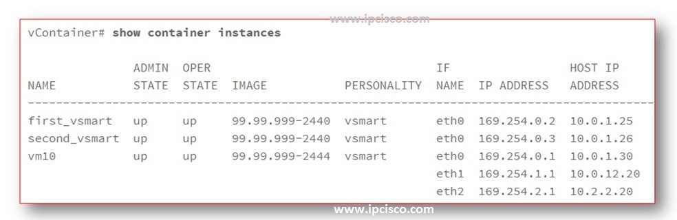 show-container-instances-cisco-sd-wan