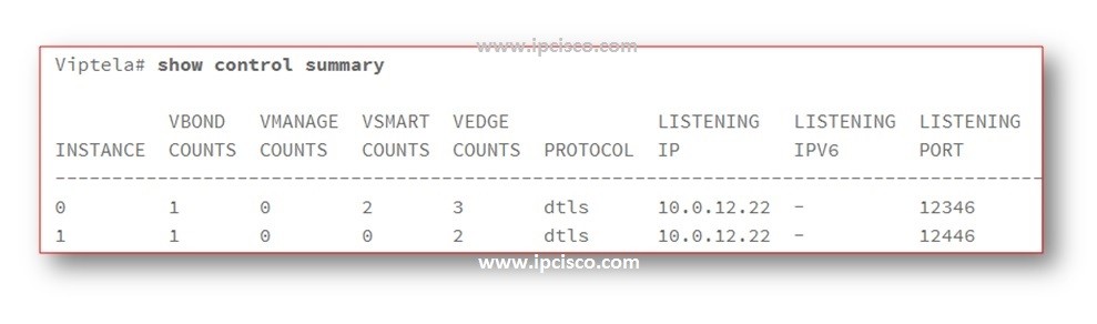 show-control-summary-cisco-sd-wan