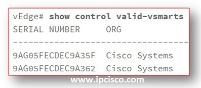 show-control-valid-vsmarts-cisco-sd-wan