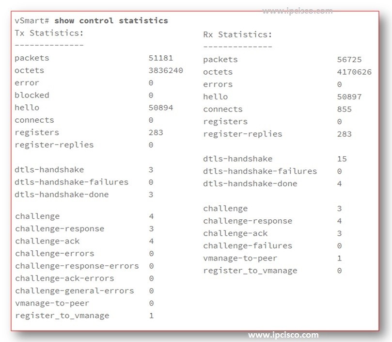show-controller-statistics-cisco-sd-wan