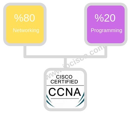 new-ccna-lessons