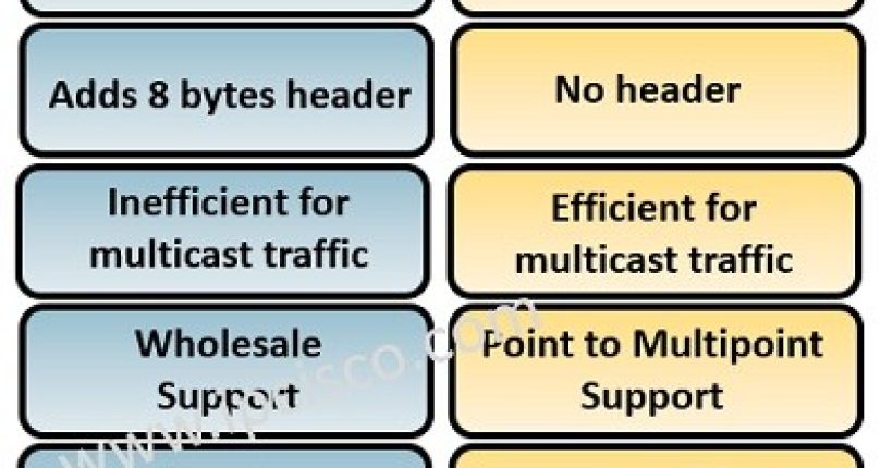 IPoE vs PPPoE Comparison Table. PPPoE vs IPoE differences.