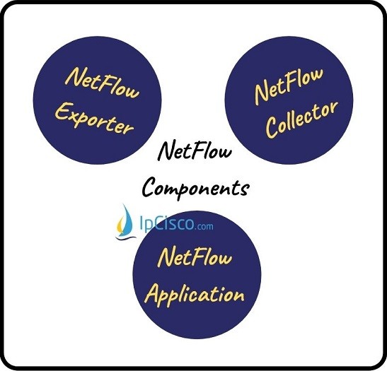 netflow-components-ipcisco