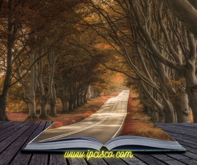 metaverse-storyteller-ipcisco