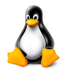 linux-ipcisco