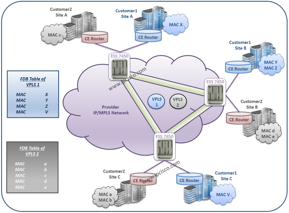 Alcatel-Lucent, Customer View of VPLS Alcatel-Lucent, Customer View of Layer 2 VPN