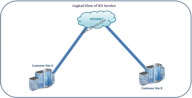 Nokia, Customer View of IES Nokia, Customer View of IES