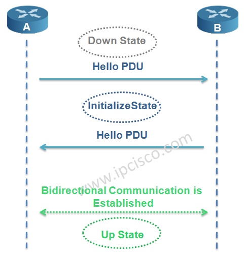 IS-IS Adjacency States, IS-IS Neighbourship Establishment