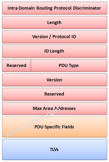 IS-IS Header Format IS-IS Header Format, ISIS TLVs