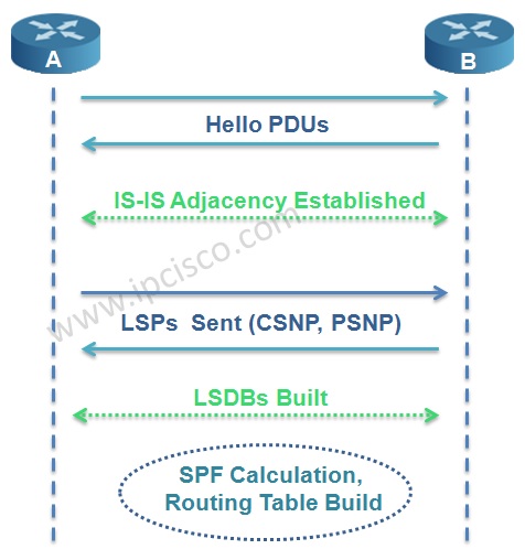 IS-IS Protocol Operation