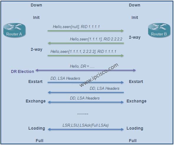 OSPF (Open Shortest Path First) Neighbourship States, OSPF Adjacency OSPF (Open Shortest Path First) Neighbourship States, OSPF Adjacency