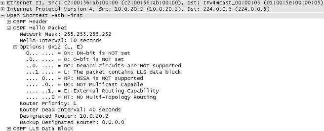 OSPF (Open Shortest Path First) Hello Packet OSPF (Open Shortest Path First) Hello Packet