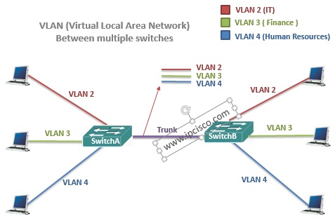 vlan(virtual local area network) vlan(virtual local area network)
