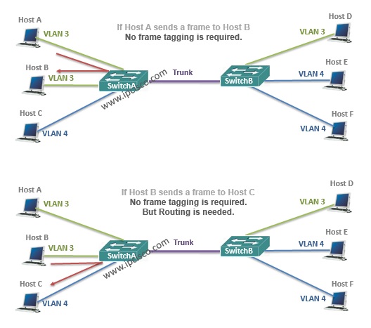no vlan frame tagging require no vlan frame tagging require