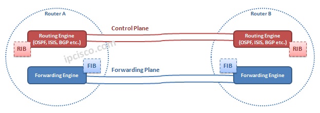 control-plane-forwarding-plane