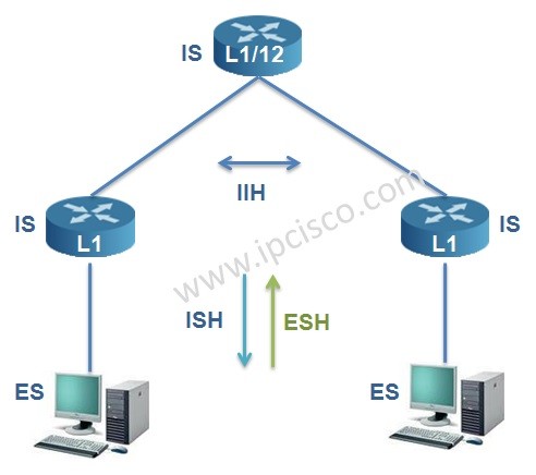 isis-helllos-ipcisco