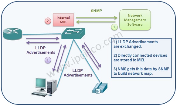 How LLDP Works, LLDP Mechanism How LLDP Works, LLDP Mechanism