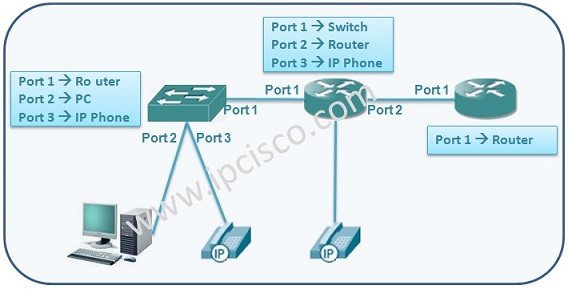 Network Neighbour Discovery Network Neighbour Discovery