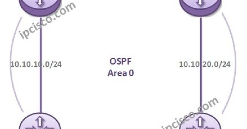 nokia-ospf-configuration