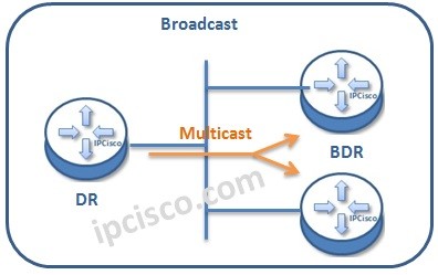 ospf-broadcast-networks