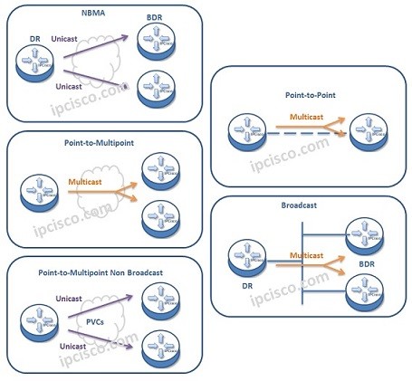 ospf-network-types-k