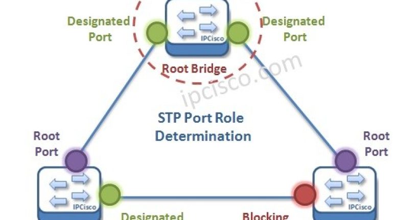 stp-port-selection