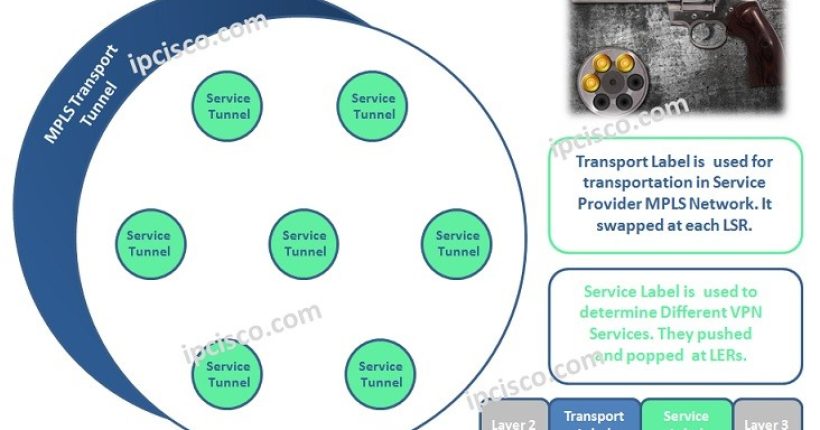 tranport-and-service-labels