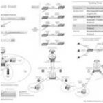 vlan-cheat-um vlan-cheat-um